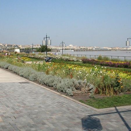 Ausone Beautiful Loft Apartment In Historical Center + Terrace And Parking Бордо Экстерьер фото